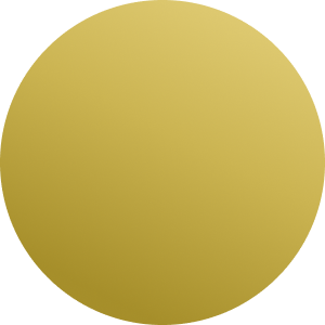 Blank / Guld / Svart